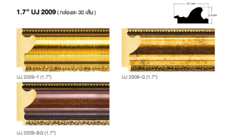 1.7” UJ 2009